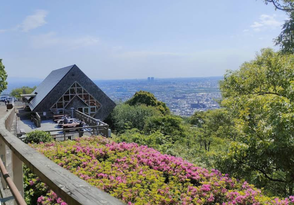 Hidden Gem: Hiraoka Hike, Waterfall and Tsutsuji&nbsp;Flowers