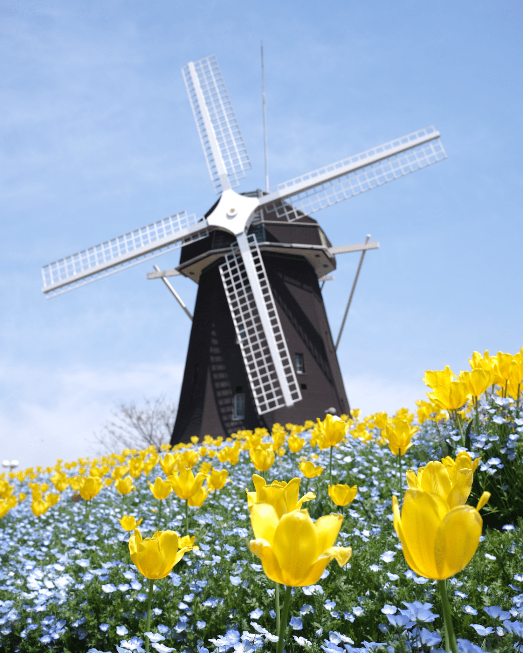 Bathe in Nature at Tsrumi-Ryokuchi Park