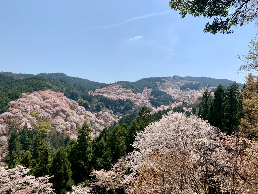 Mt. Yoshino Day Trip from Osaka – Hike, Temples & Timeless&nbsp;Views