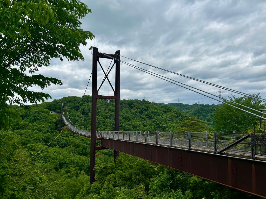 Hike in the Forest of Osaka and cross the ‘Star Swing’ Bridge 